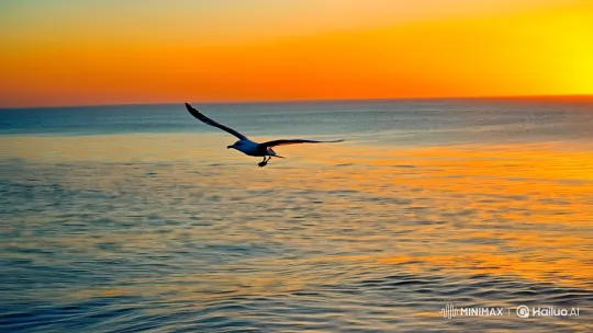 Seagull's Graceful Flight Over Golden Horizon – AI Generated Video | Hailuo AI