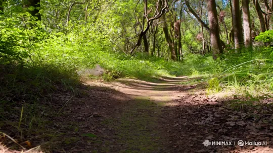 Sunlit Forest: A Bunny's Tranquil Journey – AI Generated Video | Hailuo AI