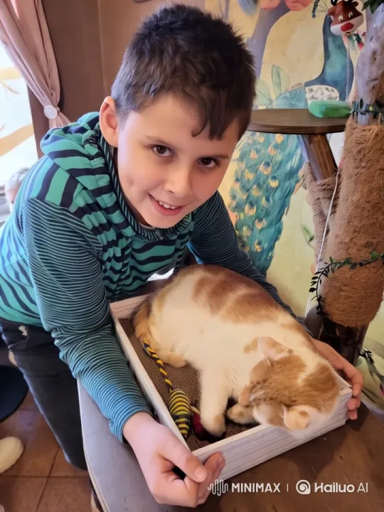 Boy Throws Cat in Air, Cat Disappears in Flight – AI Generated Video | Hailuo AI