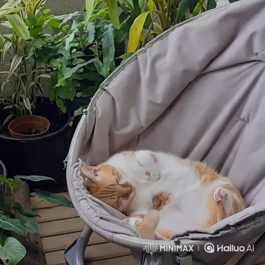 Peaceful Cat Naps in Lush Green Balcony Sanctuary – AI Generated Video | Hailuo AI
