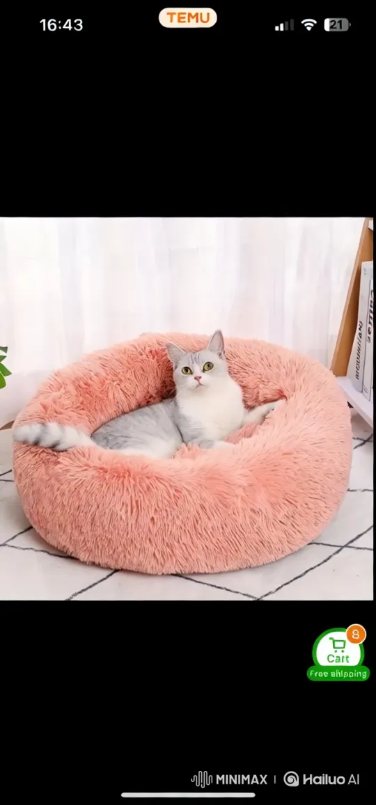 Cat Napping in a Serene Pink Bed – AI Generated Video | Hailuo AI