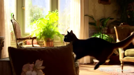 Graceful Cat Dances in Sunlit, Vintage Room – AI Generated Video | Hailuo AI