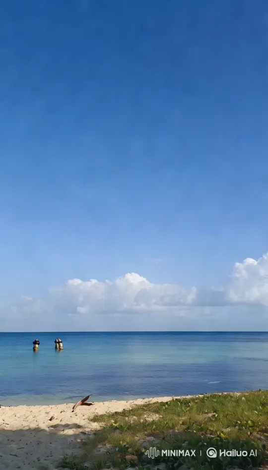Tranquil Beach Scene with Gentle Waves and Rustic Posts – AI Generated Video | Hailuo AI