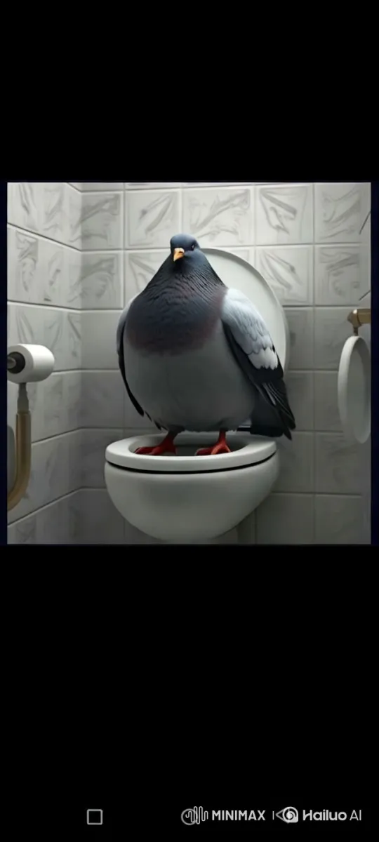 Pigeon Frustratedly Screams, Forgets Toilet Lid – AI Generated Video | Hailuo AI