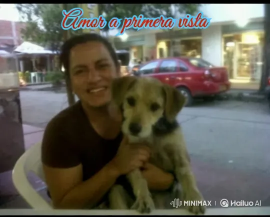 Urban Café Scene: Love at First Sight with a Dog – AI Generated Video | Hailuo AI