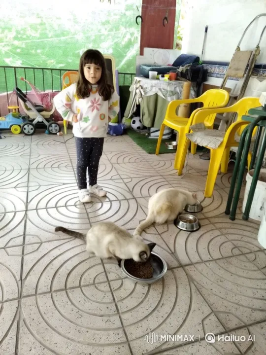 Young Girl and Cats in Colorful Patio Scene – AI Generated Video | Hailuo AI