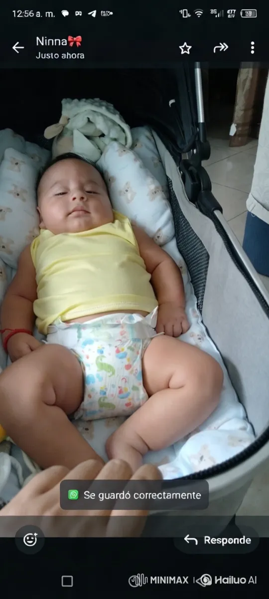 Serene Moment: Baby in Stroller with Cozy Surroundings – AI Generated Video | Hailuo AI