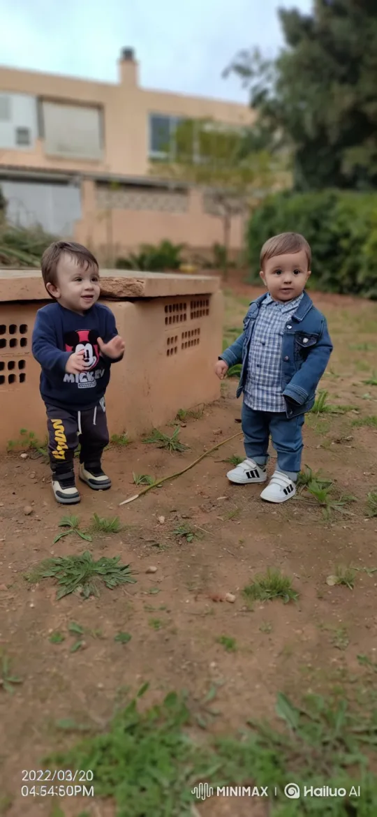 Children Mimic Kung Fu Moves in Garden Setting – AI Generated Video | Hailuo AI