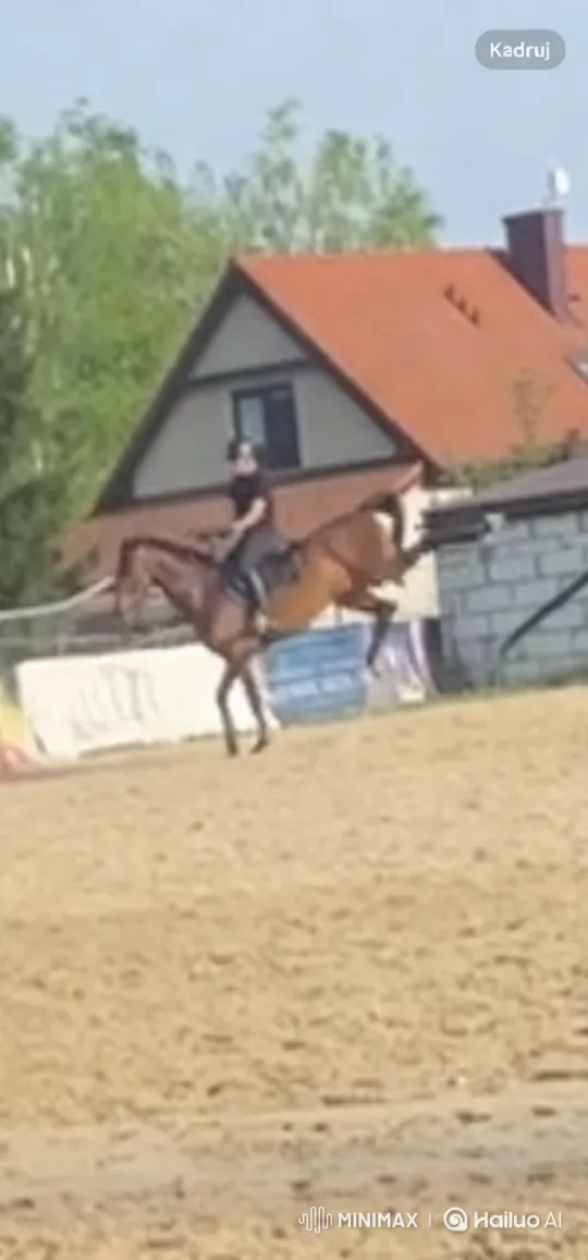Rider Panics, Abandons Bucking Horse in Arena – AI Generated Video | Hailuo AI