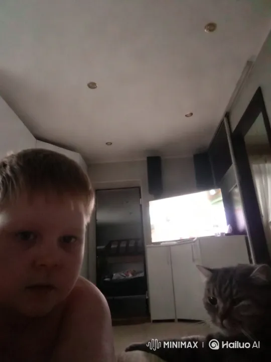 Cat in Modern Living Room with Sleek Design – AI Generated Video | Hailuo AI