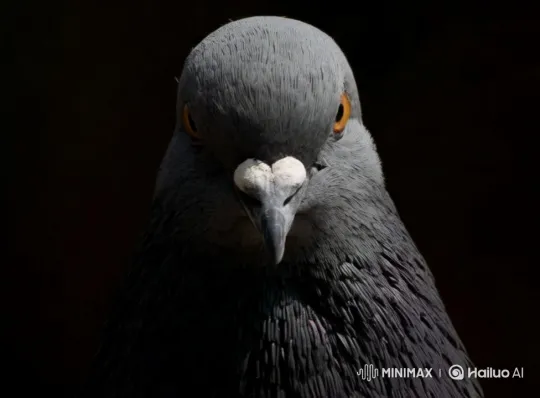 Pigeon Screams, Leaps into Toilet, Chaos Ensues – AI Generated Video | Hailuo AI