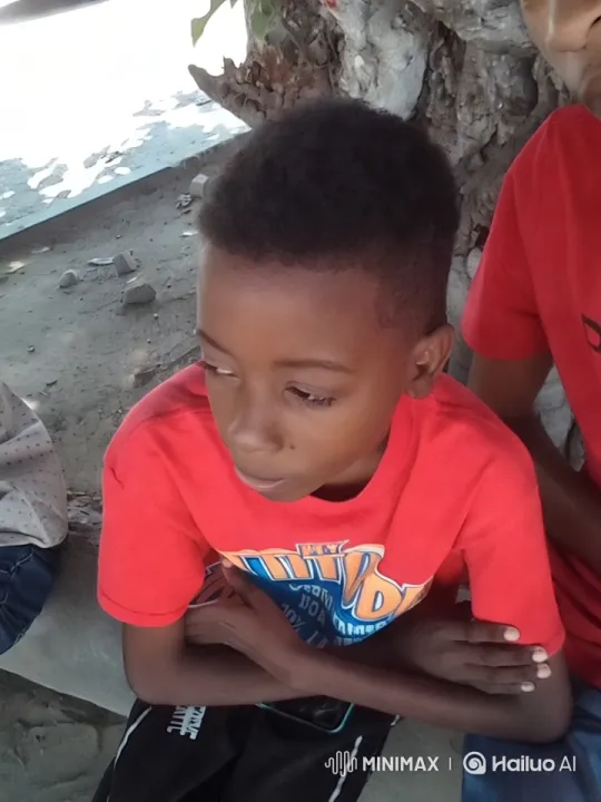 Boy Paralyzed by Fear, Dog Chase Interrupted by Car – AI Generated Video | Hailuo AI