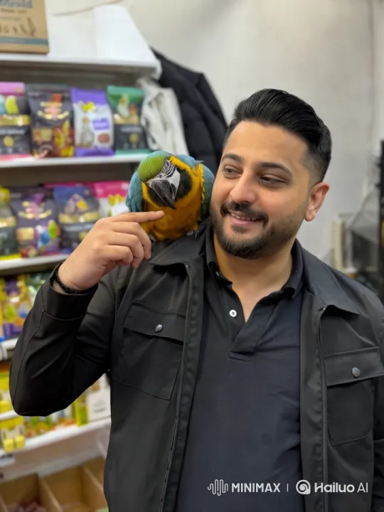 Vibrant Parrot and Pet Store Atmosphere – AI Generated Video | Hailuo AI