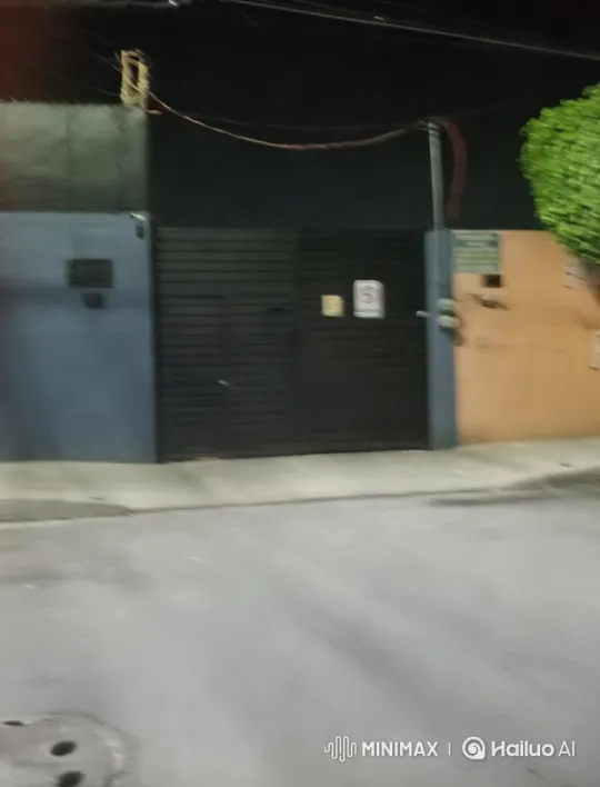 Dark Street, Urgent Gate, Anticipation of Revenge – AI Generated Video | Hailuo AI