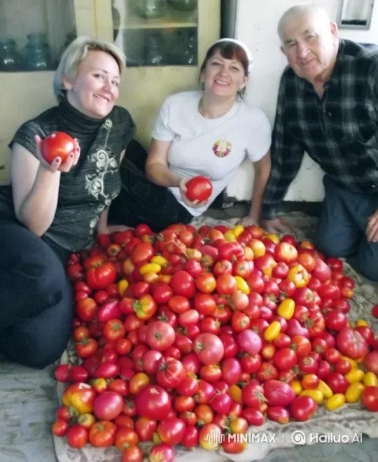 Group Embraces Amidst Pile of Tomatoes – AI Generated Video | Hailuo AI