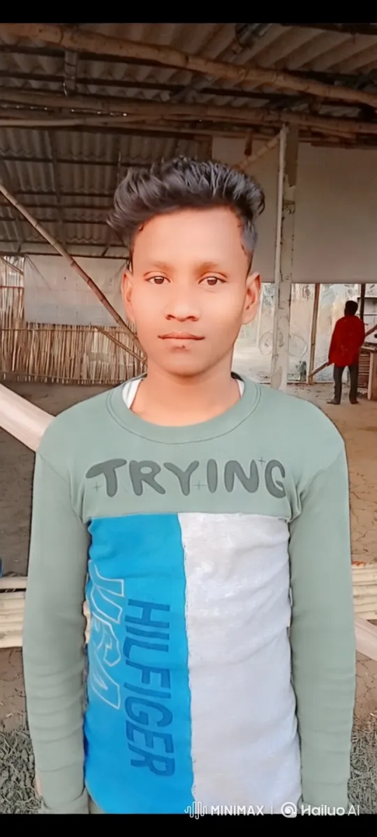 Rustic Scene with Young Man in 'TRYING' Sweater – AI Generated Video | Hailuo AI