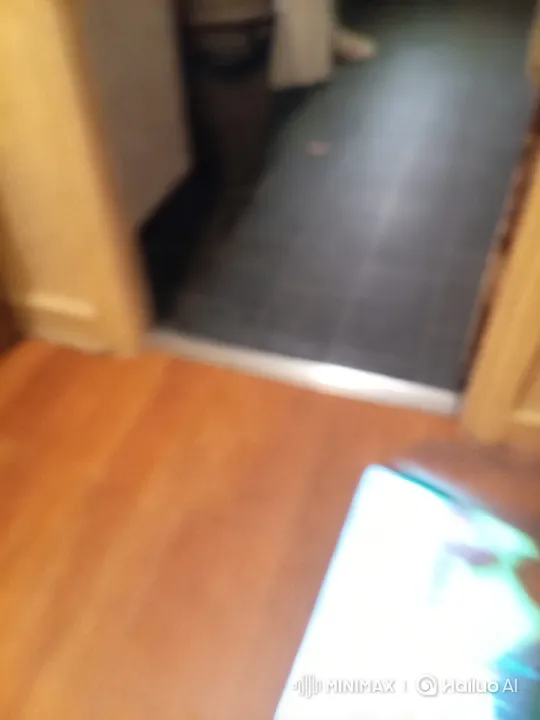 Elegant Cat Movement in a Warmly Lit Room – AI Generated Video | Hailuo AI