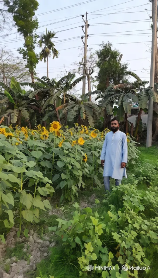Man and Calm Lion in Lush Garden Setting – AI Generated Video | Hailuo AI