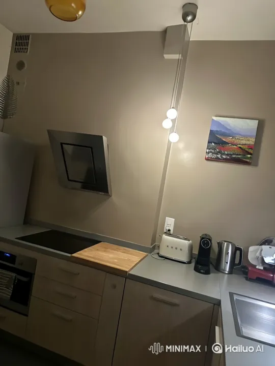 Modern Kitchen Tour with Live2D Animation – AI Generated Video | Hailuo AI