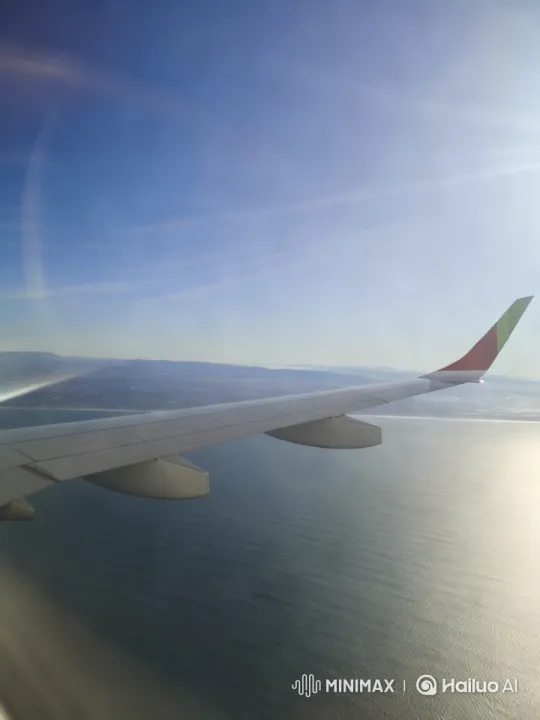 Aesthetic Yet Intense Airplane Fire Over Ocean – AI Generated Video | Hailuo AI