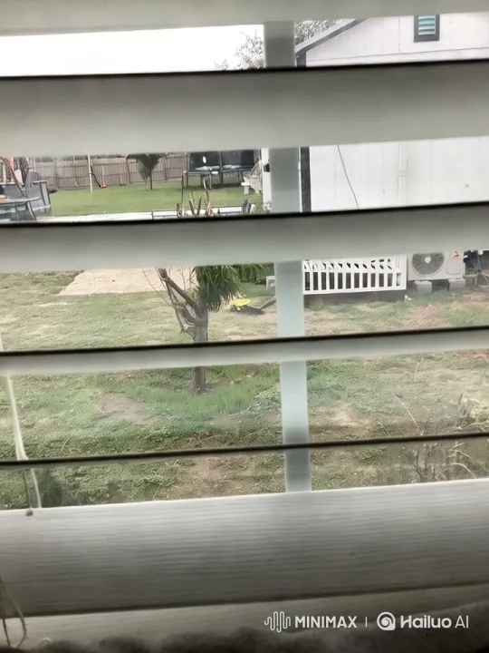 Dynamic Panoramic View of a Serene Backyard – AI Generated Video | Hailuo AI