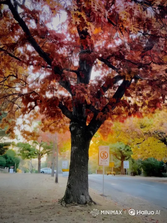 Autumn Tree Animation: Rustling Leaves in Serene Setting – AI Generated Video | Hailuo AI