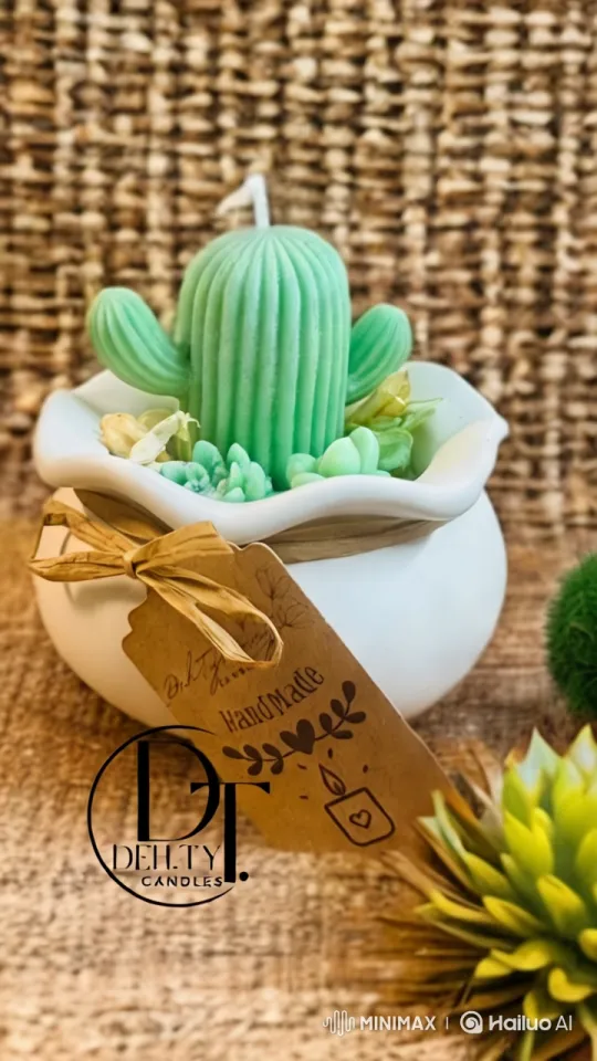 Cactus Candle Creation and Lighting Time-lapse Video – AI Generated Video | Hailuo AI