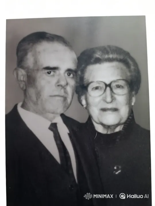 Elderly Couple Embraces in Formal Attire – AI Generated Video | Hailuo AI