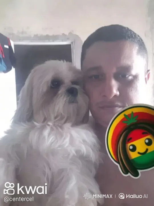 Calm Fluffy Dog Examined Closely in Intimate Setting – AI Generated Video | Hailuo AI