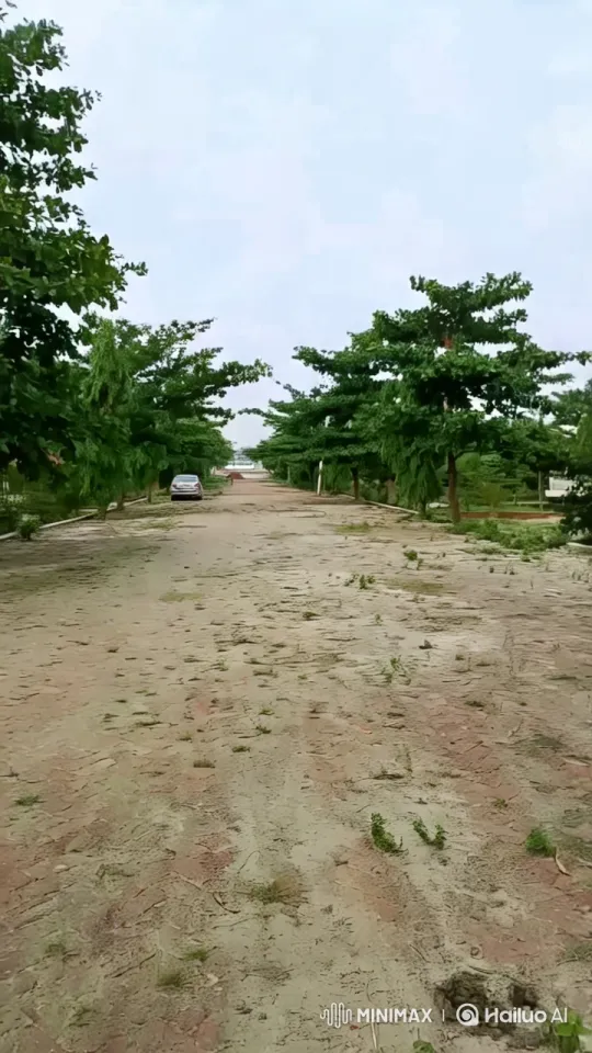 Majestic Lion Strolls Through Lush Pathway – AI Generated Video | Hailuo AI