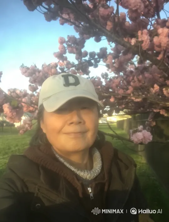 Harmony in Bloom: Serene Cherry Blossom Scene – AI Generated Video | Hailuo AI