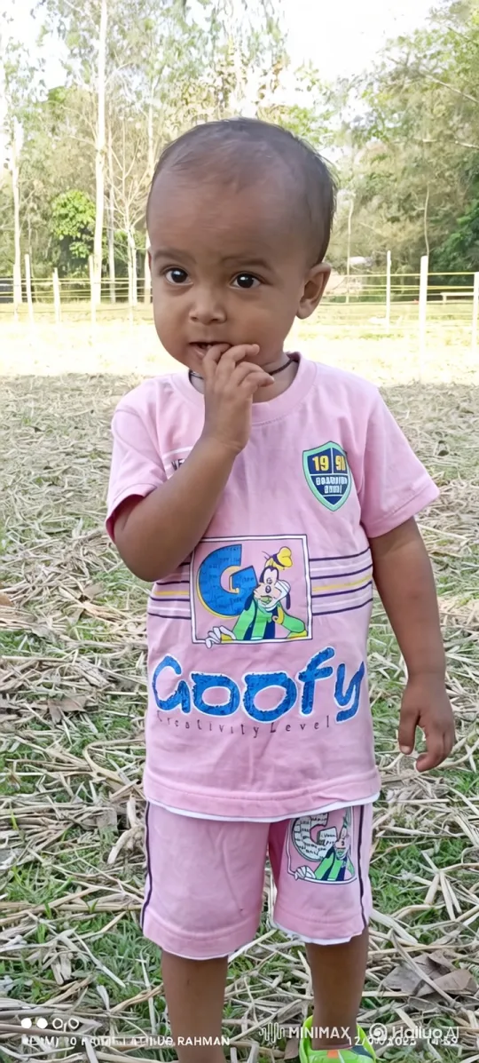 Child and Tiger Cub Bond in Sunlit Field – AI Generated Video | Hailuo AI