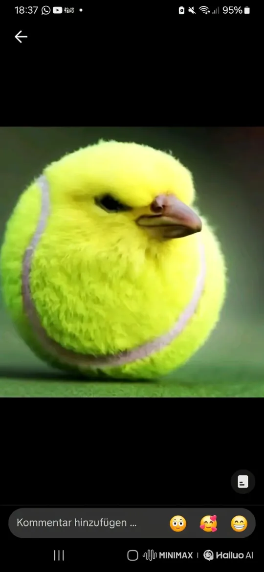 Evolution of a Tennis Ball Bird to Cosmic Destroyer and Healer – AI Generated Video | Hailuo AI