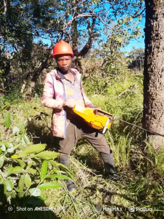 Transformation from Forest Laborer to City Driver – AI Generated Video | Hailuo AI