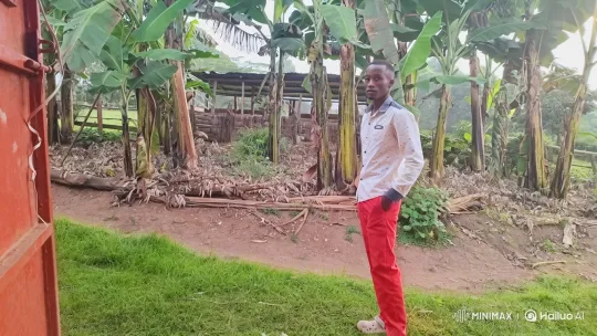 Young Man Ascends to Celestial Encounter – AI Generated Video | Hailuo AI