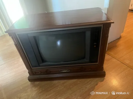 Vintage TV Powers On, Displays Channel 24 Static – AI Generated Video | Hailuo AI