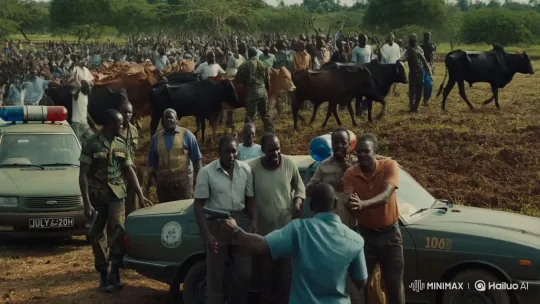 Local People Celebrate as Terrorist Herdsmen Evicted from Farm – AI Generated Video | Hailuo AI