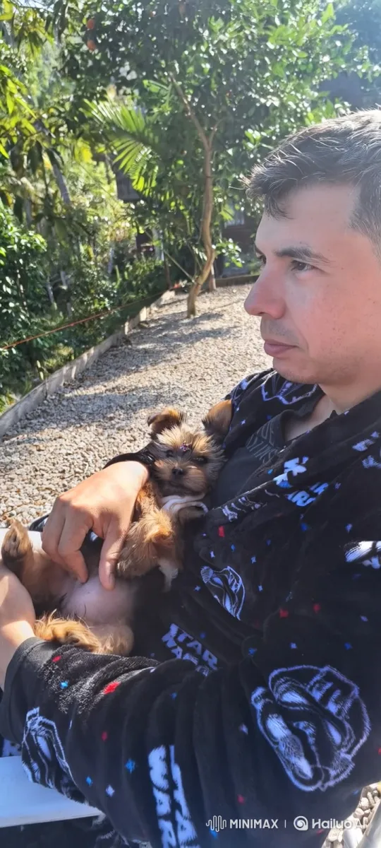 Man and Puppy Climb Giant Mansion with Wild Energy – AI Generated Video | Hailuo AI