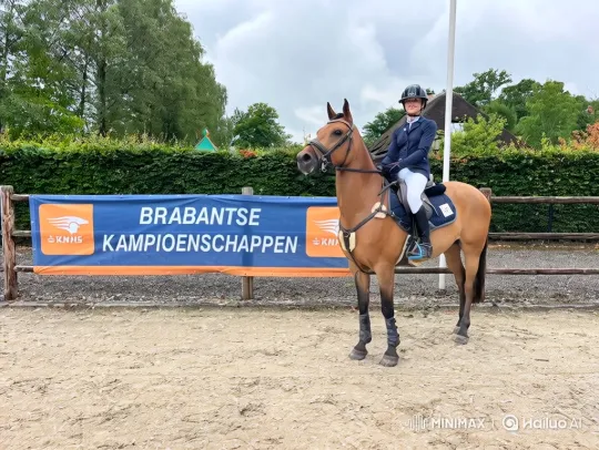 Equestrian Transforms into Magical Ride at Brabant Championships – AI Generated Video | Hailuo AI