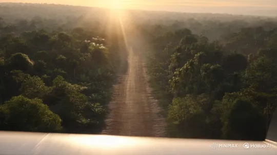 Aerial Landing of Cessna in Jungle at Sunrise – AI Generated Video | Hailuo AI