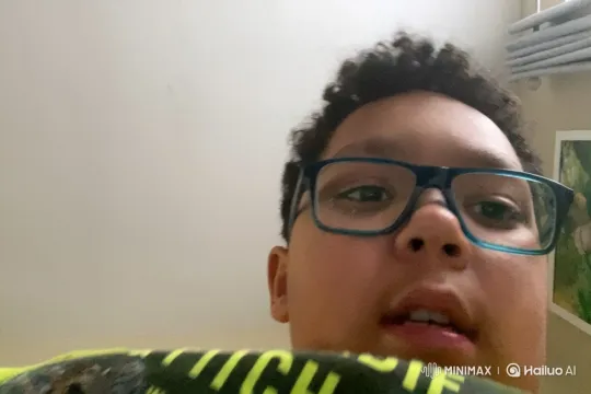 Boy's Birthday Surprise: Portal to Meet Silver the Hedgehog – AI Generated Video | Hailuo AI