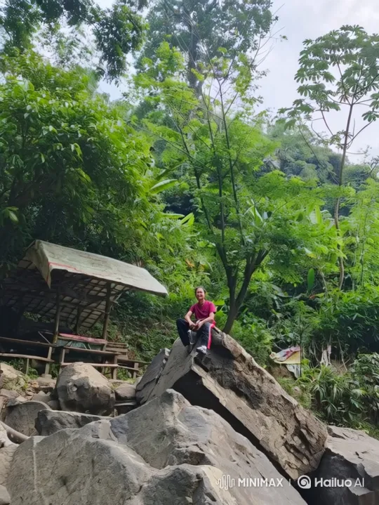 Person Appreciates Nature in Expansive Forest – AI Generated Video | Hailuo AI