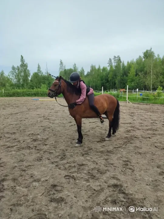 Rider and Horse Perform Backflip in Sandy Arena – AI Generated Video | Hailuo AI