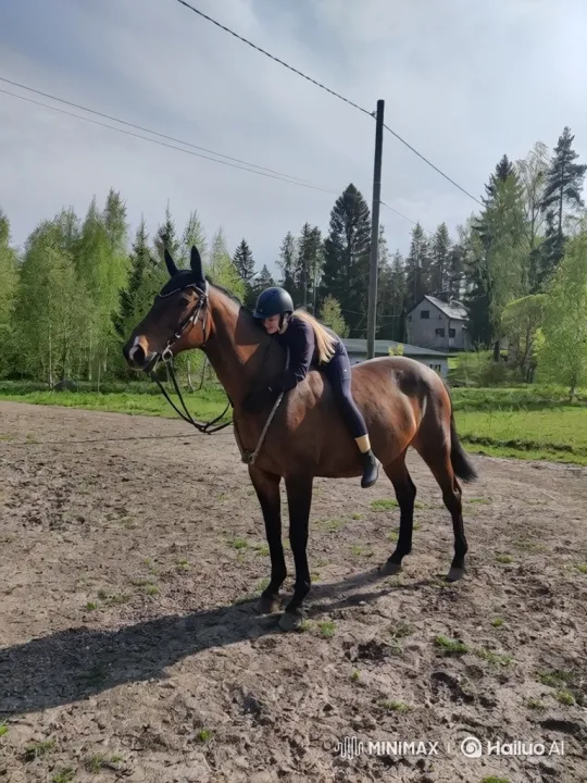 Woman Thrown Off Horse During Sudden Bucking Incident – AI Generated Video | Hailuo AI