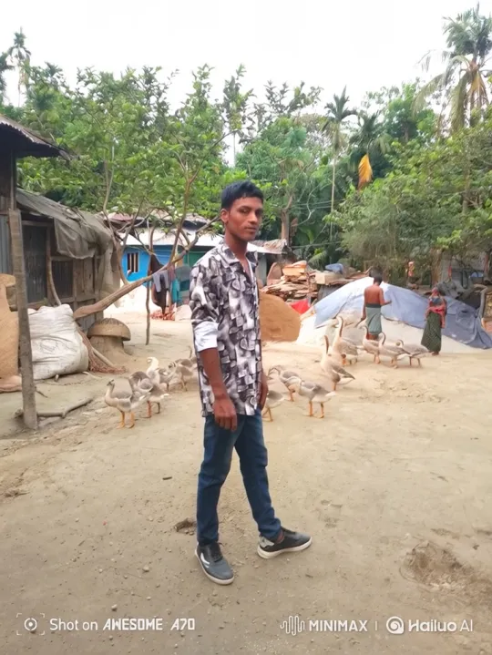 Rural Village Scene: Young Man, Geese, and Off-Road Vehicle – AI Generated Video | Hailuo AI