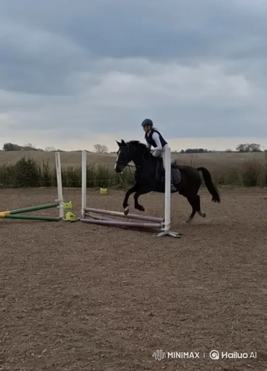 Rider Thrown Off as Horse Bucked After Jump – AI Generated Video | Hailuo AI