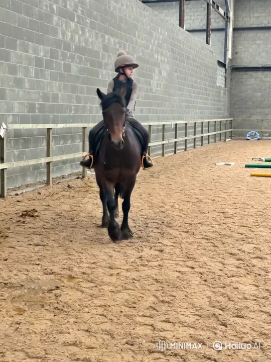 Child Falls Off Horse After Jumping in Arena – AI Generated Video | Hailuo AI