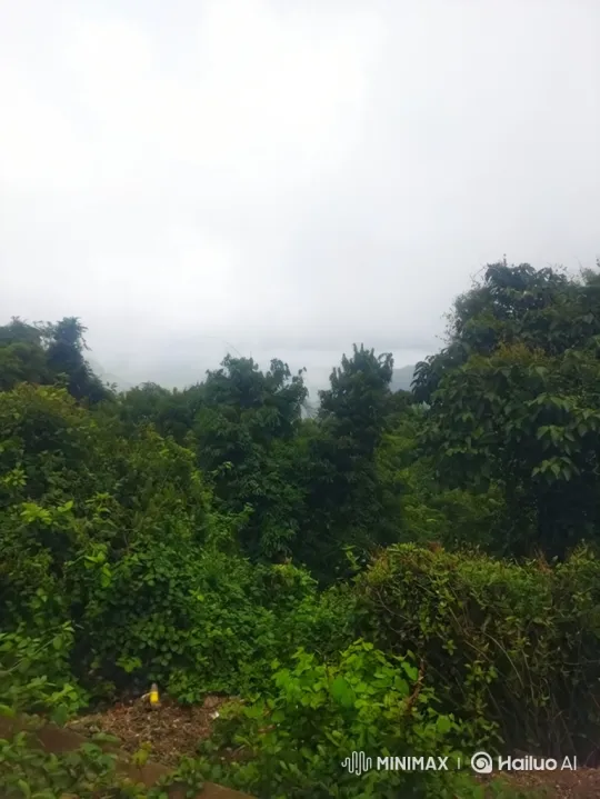 Villagers Light Fires to Repel Howling Jackals – AI Generated Video | Hailuo AI