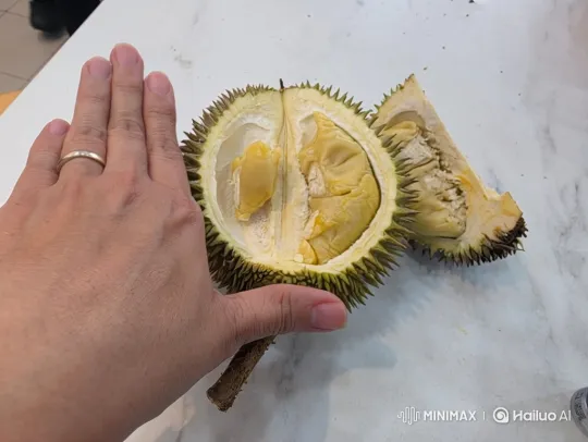 Opening a Durian Fruit: Hands-on Process – AI Generated Video | Hailuo AI