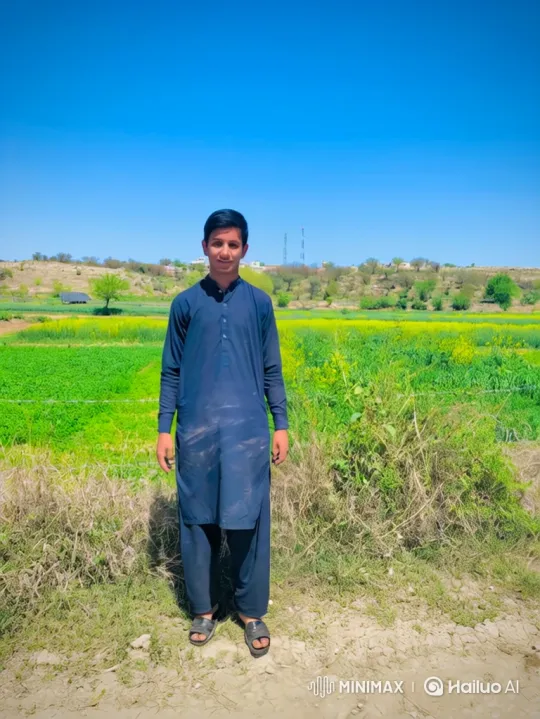Young Man Enters BRV Car, Drives Through Rural Landscape – AI Generated Video | Hailuo AI